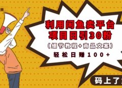 利用闲鱼卖平台项目课程资源日引流30+精准粉丝,轻松日赚100+,积累人脉可实现二次变现(细节教程+商品文案)