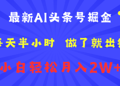最新AI头条号掘金   每天半小时  做了就出钱   小白轻松月入2W+