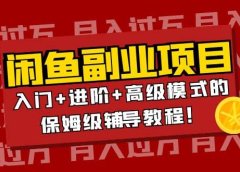 月入过万闲鱼副业项目:入门+进阶+高级模式的保姆级辅导教程
