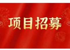 高鹏圈·蓝海中视频项目，长期项目，可以说字节不倒，项目就可以一直做！