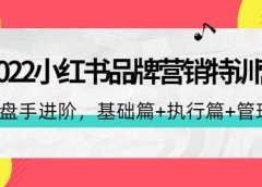2022小红书品牌营销特训营:操盘手进阶,基础篇+执行篇+管理篇(42节)