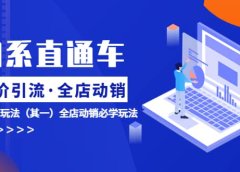 淘系直通车《低价·引流 全店·动销》超高ROI玩法(其一)全店动销必学玩法
