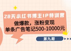 28天小红书博主IP特训营《第9期》