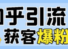 2022船长知乎引流+无脑爆粉技术:每一篇都是爆款,不吹牛,引流效果杠杠的