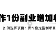 新手如何通过操作副业增加收入,从项目选择到玩法分享!【视频教程】