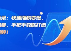 思维语录:快速涨粉变现,简单粗暴,手把手教你打造爆款视频