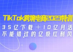 TikTok跨境电商2023特训:35亿下载+10亿月活,不能错过的亿级红利风口