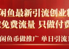 2024年闲鱼币推广引流创业粉,不做免费流量,只做付费流量,单日引流100+