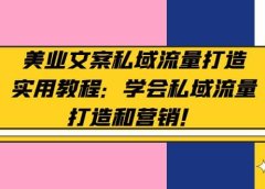 美业文案私域流量打造实用教程:学会私域流量打造和营销