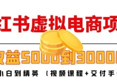 小红书虚拟电商项目：从小白到精英 (视频课程+交付手册)