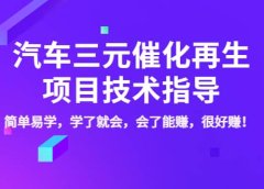 汽车三元催化再生项目技术指导,简单易学,学了就会,会了能赚,很好赚!