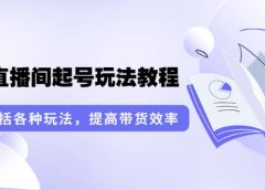 无人直播间起号玩法教程：囊括各种玩法，提高带货效率（17节课）