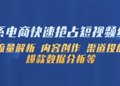 淘系电商快速抢占短视频红利:流量解析 内容创作 渠道投放 爆款数据分析等