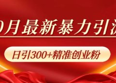 10月最新暴力引流,日引300+精准创业粉