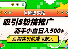 轻松引流老S批 不怕S粉一毛不拔 保姆级教程 小白照样日入500+