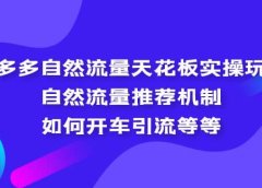 拼多多自然流量天花板实操玩法：自然流量推荐机制，如何开车引流等等
