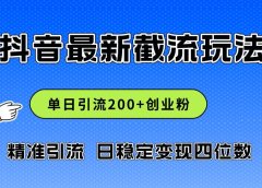 2024年抖音评论区最新截流玩法,日引200+创业粉,日稳定变现四位数实操...