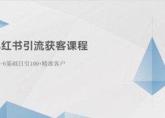 小红书引流获客课程：0基础日引100+精准客户