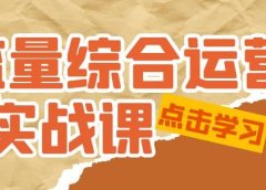 流量综合·运营实战课:短视频、本地生活、个人IP知识付费、直播带货运营