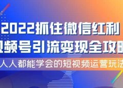 2022抓住微信红利,视频号引流变现全攻略,人人都能学会的短视频运营玩法
