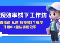 变现-效率线下工作坊,从直播间、私域、短视频3个维度 升级IP+团队变现效率