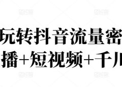 2022玩转抖音流量密码,(直播+短视频+千川)