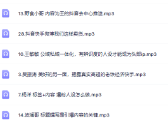 千万粉丝网红教你打造超级IP,人设打造经营粉丝数量快速飙升