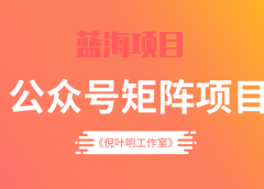 蓝海公众号矩阵项目训练营,0粉冷启动,公众号矩阵账号粉丝突破30w
