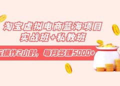 淘宝虚拟电商蓝海项目实战班+私教班