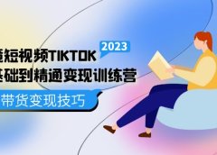 跨境·短视频TIKTOK零基础到精通变现训练营 短视频·独立站·带货变现技巧