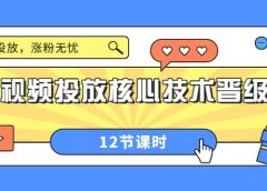 短视频投放核心技术晋级课：掌握投放，涨粉无忧（12节课时）