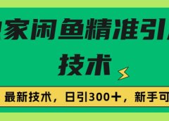 独家闲鱼引流技术，日引300＋实战玩法