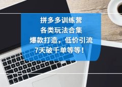拼多多训练营:各玩法合集,爆款打造,低价引流,7天破千单等等