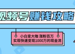 玩转微信视频号赚钱:小白变大咖涨粉百万实现快速变现1000万的现金流