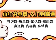小红书电商入门到精通 开店篇+选品篇+笔记篇+剪辑篇+赛道篇+内容篇+私域篇