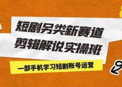 短剧另类新赛道剪辑解说实操班：一部手机学习短剧账号运营（29节 价值500）