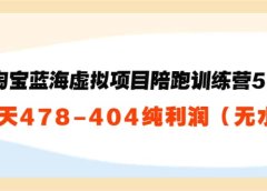 淘宝蓝海虚拟项目陪跑训练营5.0:单天478纯利润(无水印)