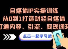 自媒体IP实操训练,从0到1打造财经自媒体,打通内容、引流、变现闭环