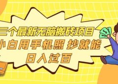 三个最新无脑搬砖项目,小白用手机照抄就能日入过百