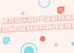 拼多多运营0-1实战特训营,拼多多从0础到进阶的可实操玩法