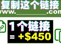 复制链接赚美元,一个链接可赚450+,利用链接点击即可赚钱的项目(视频教程)