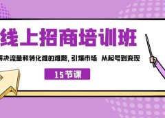 线上·招商培训班，解决流量和转化难的难题 引爆市场 从起号到变现（15节）