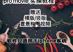 漆十二美食摄影,25节promovie实操高手课节