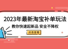 2023年最新淘宝补单玩法,教你快速起·新品,安全·不降权(18课时)