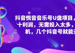 抖音音乐号U盘项目 一单几十利润 无需投入太多 一台手机 几个抖音号就开始