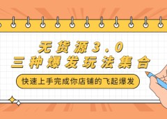 无货源3.0三种爆发玩法集合,快速上手完成你店铺的飞起爆发