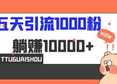 5天引流1000+，赚了1w+