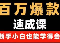 百万爆款速成课:用数据思维做爆款,小白也能从0-1打造百万播放视频