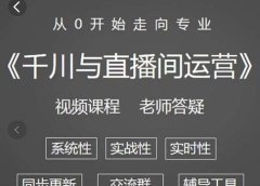 阳光·千川与直播间运营从0开始走向专业,93节完整版