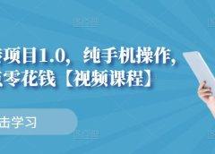 小白搬砖项目1.0,纯手机操作,每天兼职挣点零花钱